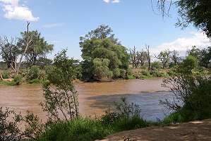 Ewaso Ngiro River, Samburu Reservat