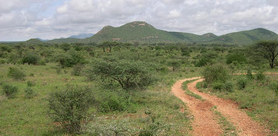 Samburu Reservat, Ende Oktober 2008