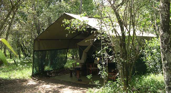 Mara Bush Camp