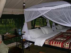 Mara Bush Camp