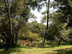 Mara Bush Camp