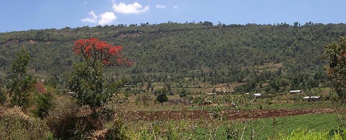 Sandai Kenya