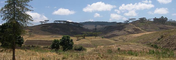 Sandai Kenya