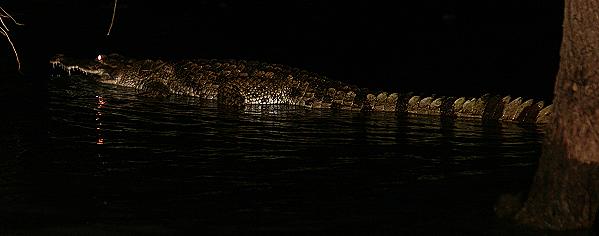 Roberts Camp, Lake Baringo