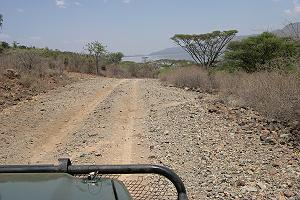 Lake Bogoria