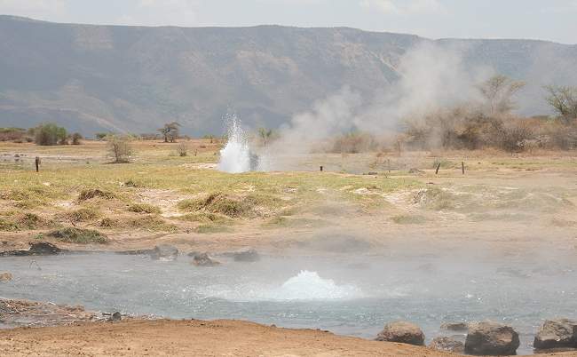 Lake Bogoria