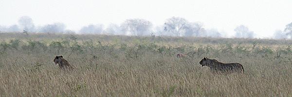 Tsavo Ost National Park