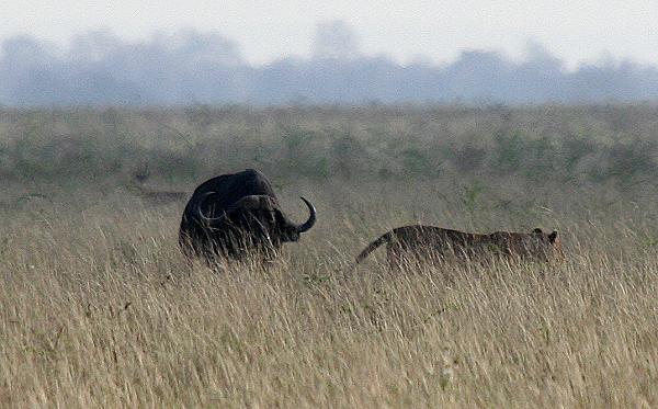 Tsavo Ost National Park