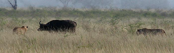 Tsavo Ost National Park