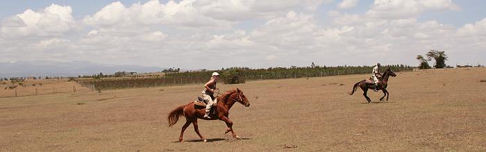 Horse riding safari kenya