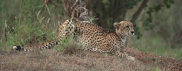 Tsavo Ost National Park