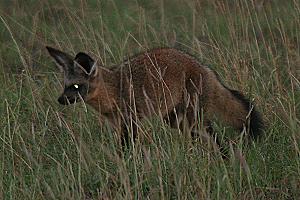 Tsavo Ost National Park