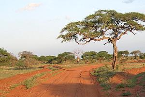 Tsavo Ost National Park