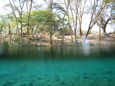 Mizuma Springs, Tsavo West