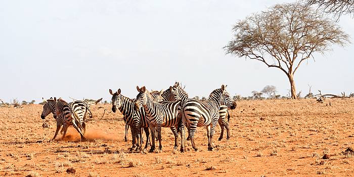 Tsavo Ost National Park