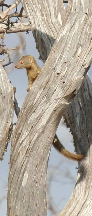 Tsavo Ost National Park