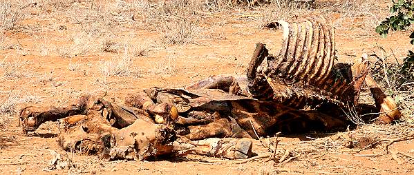 Tsavo Ost National Park