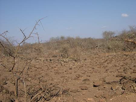 Tsavo West National Park