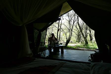 Mara Bush Camp