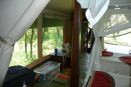 Mara Bush Camp