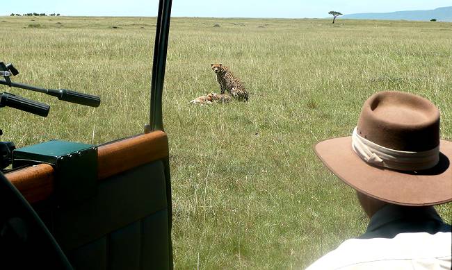 Jörg Reinecke bei den Geparden der Masai Mara