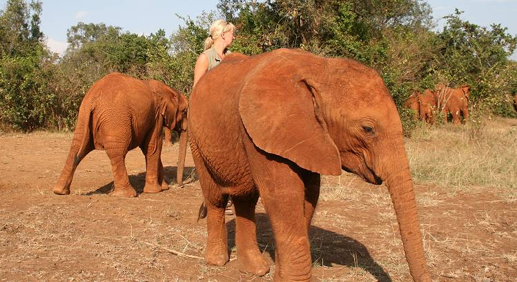 Petra Reinecke and elephant orphans