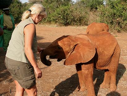 Petra Reinecke and elephant orphans