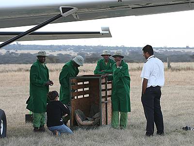 David Sheldrick Wildlife Trust