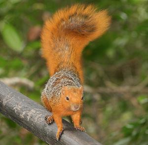 Shimba Hill National Park