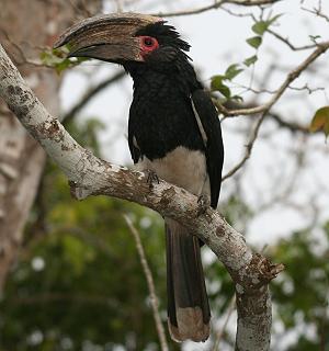 Shimba Hill National Park