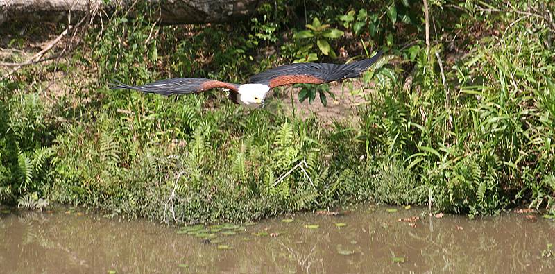 Shimba Hill National Park