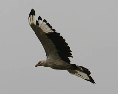 Shimba Hill National Park