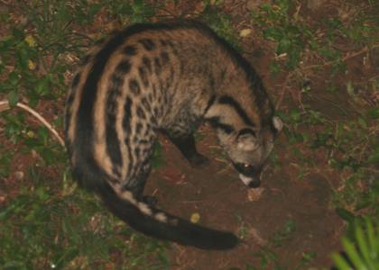 Shimba Hill National Park