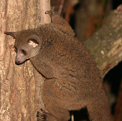 Shimba Hill National Park