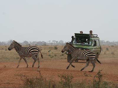 kiwara safaris and me