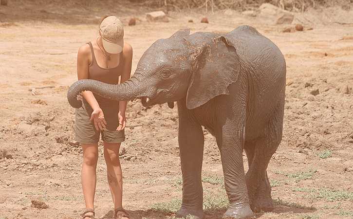 Waisenelefanten im Tsavo - Ithumba