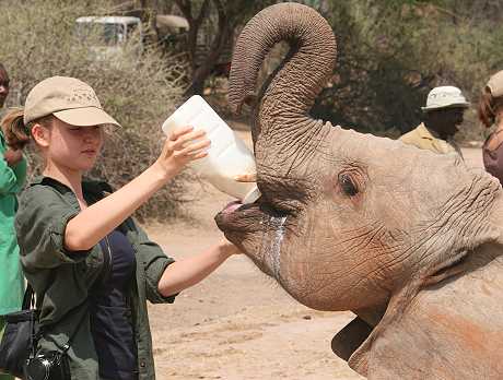 Waisenelefanten im Tsavo - Ithumba