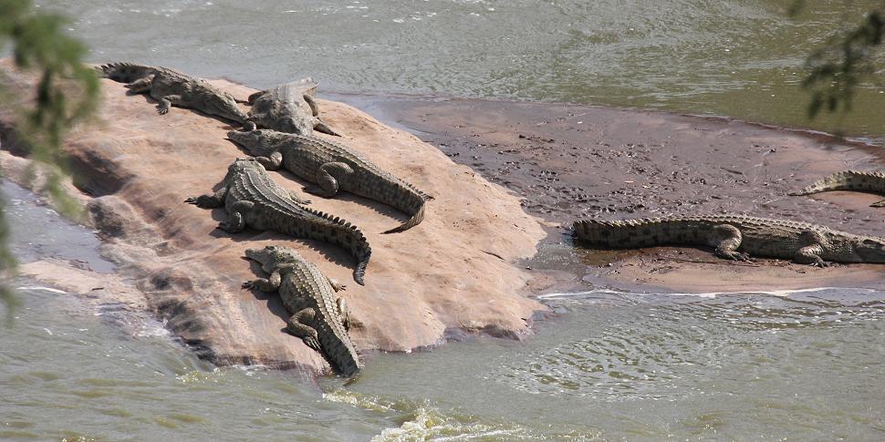 Galana River, Crocodil point, Tsavo Ost