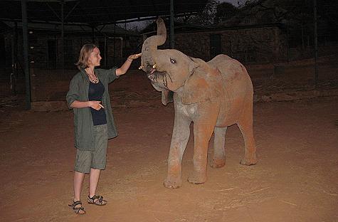 David Sheldrick Wildlife Trust - Ithumba Unit - Tsavo East