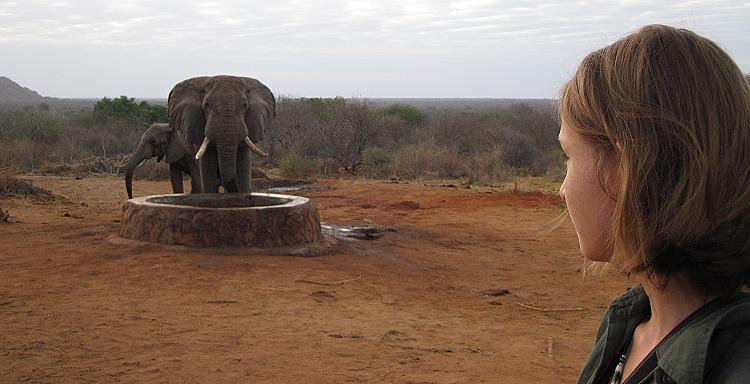 David Sheldrick Wildlife Trust - Ithumba Unit - Tsavo East