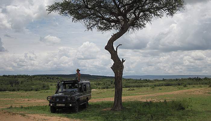 Masai Mara, Game Drive