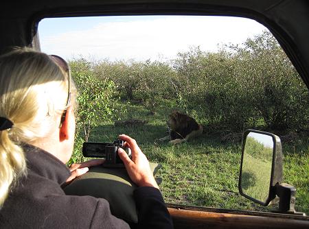 Masai Mara, Game Drive