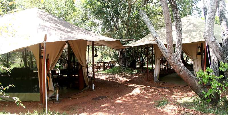 Mara Bush Camp, Masai Mara