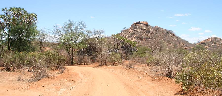 Ngulia Camp, Tsavo West