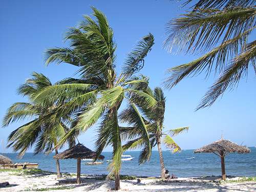 Shanzu Beach