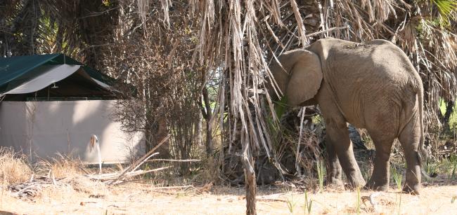 Lake Manze Camp, Selous