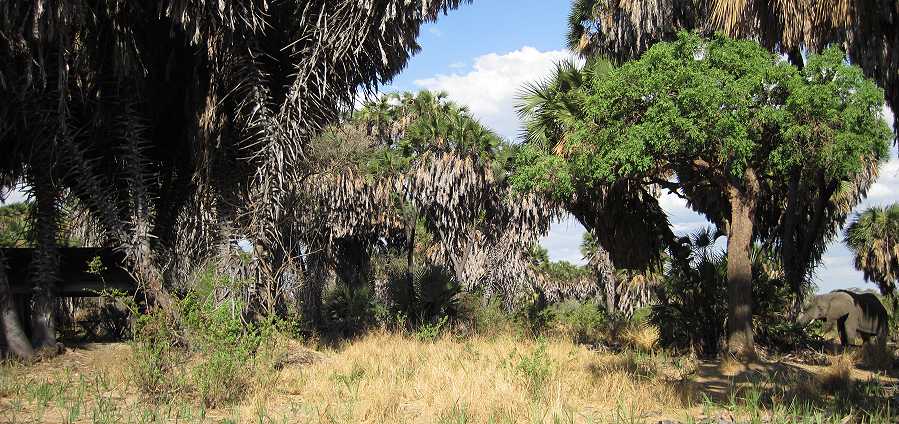 Lake Manze Camp, Selous