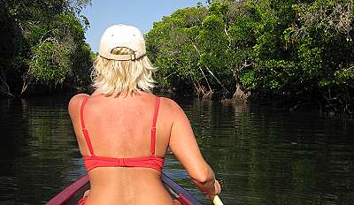 Mida Creek - Mangroven Kanu Exkursion