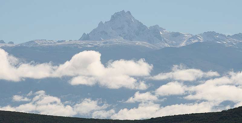 Sandai Farm, Mount Kenya
