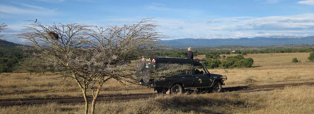 Sandai Farm